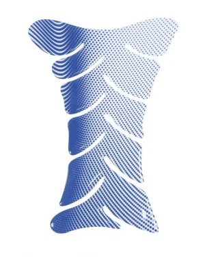 protection-de-reservoir-fish-bleue