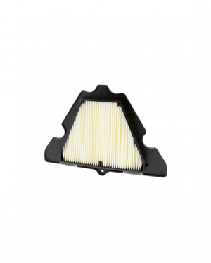 Filtre à Air CHAMPION CAF1920