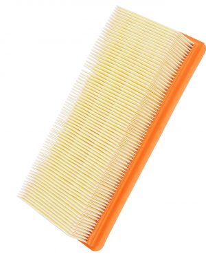 Filtre à Air CHAMPION CAF6916