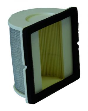 Filtre à Air CHAMPION CAF3909