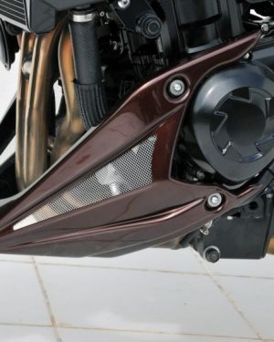 Sabot moteur Noir Satin ERMAX